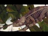 Madagascar 2014 - travel trailer