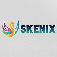 Enterprise Web Development Company | Skenix Infotech