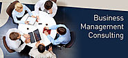 IT Business Management Consulting