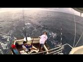 Record Blue Marlin catch - Richardsbay South Africa !!