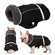 Dog Clothes Winter Waterproof Cloths