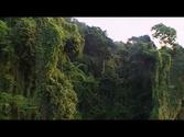 "Kalapani Black Water" The first Expedition to Andaman & Nicobar Islands- India
