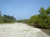 kalipur beach, diglipur, north andaman islands, india