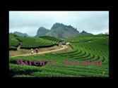 Hello Vietnam - Top Tourist Destinations in Vietnam