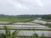 Hainan Province, Hainan Island, China, Asia
