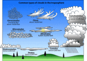 What are the different types of clouds? Tell us in brief