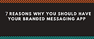 7 Reasons Why You Should Have Your Branded Messaging App - REVE Systems