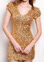 Gold Sequined Dress - Lookbook Store