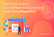 How Much Does it Cost to Make An eCommerce Store Using Magento?