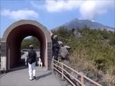 Sakurajima, Siberian Husky Hana went to Sakurajima, Kagoshima, Japan Feb 23rd 2014
