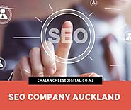 SEO Service Provider Company Based in Auckland & Tauranga