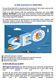 top seo agency company in auckland