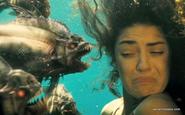 Piranha "The Swimming Hole"