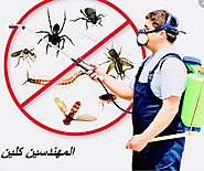 شركة مكافحة حشرات بجدة، خبرة لأكثر من ٢٠ عامًا - رقم الهاتف 0500080328