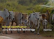Website at https://blog.mantratec.com/cattle-biometrics-identification