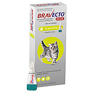 Bravecto Plus for Small Cats 1.2 – 2.8 kg (Green) - $24.95-$69.99