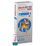 Bravecto Plus for Medium Cats 2.8 – 6.25 kg (Blue) - $24.95
