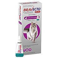 Bravecto Plus for Large Cats 6.25 – 12.5 kg (Purple) - $24.95-$69.99