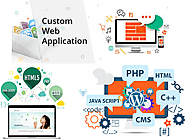 Custom Web Application Development: When and How? | by Teclogiq