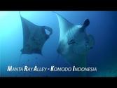 Manta Alley Komodo Indonesia - Amazing HD Footage