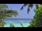 Maldives 2013 : Bandos, Baros,Kuda Bandos and Paradise Island