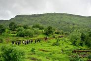 YHAI Mumbai Unit Trek to Matheran via Dudhane Village Sunday, July 6 2014