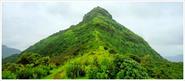 Wild Rangers trek to Fort - Tikona on 13th Jul 2014