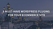 5 Must-Have WordPress Plugins for Your eCommerce Site – FitWP