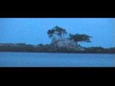 Snake island -Port Blair - Andaman & Nicobar Islands- India
