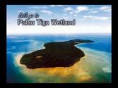Pulau Tiga Island -The Survivor Island
