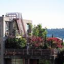 Advice on Creating a Rooftop Garden
