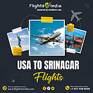Find the Best USA to Srinagar Flights at Reasonable Price