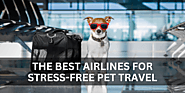 Find the Top Airlines for Traveling with Pets - FlightsToIndia