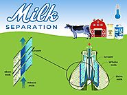 How to Separate Cream from Milk — Milky Day