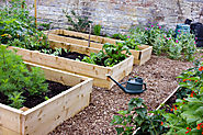 Why You Should Use Raised Modular Beds in Your Garden