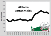 In short, tell us what is Bt Cotton