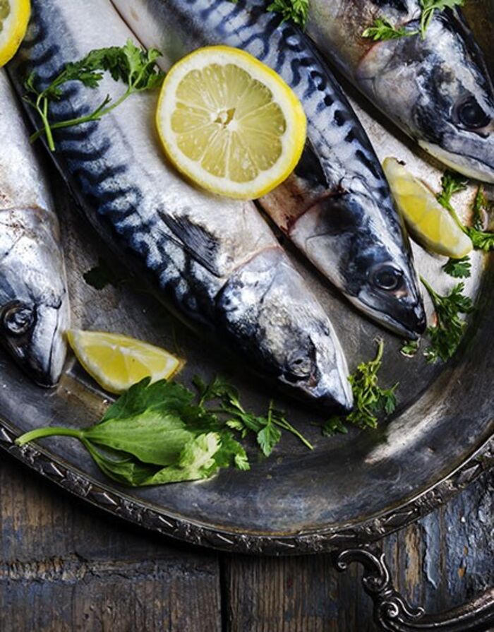 Frozen Fish Online Bradley's Fish Factory A Listly List