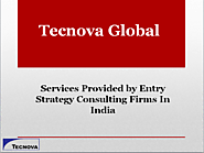 Services Provided by Entry Strategy Consulting Firms In India