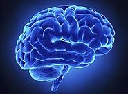 ¿Qué es la Parálisis Cerebral?