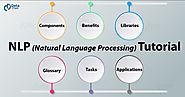 NLP Tutorial AI with Python | Natural Language Processing - DataFlair