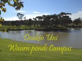 Deakin Uni, waurn ponds campus, Geelong, Australia