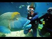 Finding Nemo - [The Great Barrier Reef, Australia]
