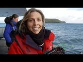 Antarctica Macquarie Island Part I - (Travelwild.TV) Lin Sutherland