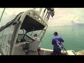 Thursday Island Fishing- Queenfish