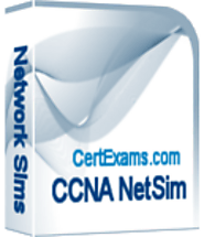 CCNA Network Simulator