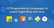 10 Best Programming Languages to Learn in 2020 (for Job & Future)