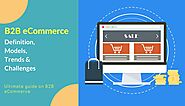 B2B eCommerce - Definition, Models, Trends & Challenges