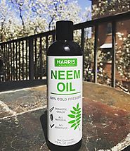 Benefits of Neem Oil for Hair Growth - Sensod - Create. Connect. Brand.