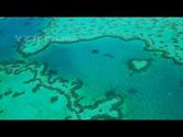Great Barrier Reef, Whitsunday Islands, Queensland Australia
