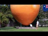 Giant 30-foot-tall mango tourist attraction stolen from small Australian town